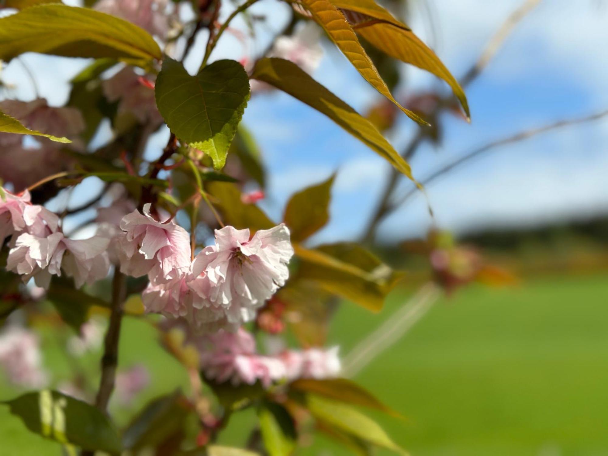 Awakening Alchemy Retreat Centre Bed & Breakfast Inverurie Eksteriør bilde