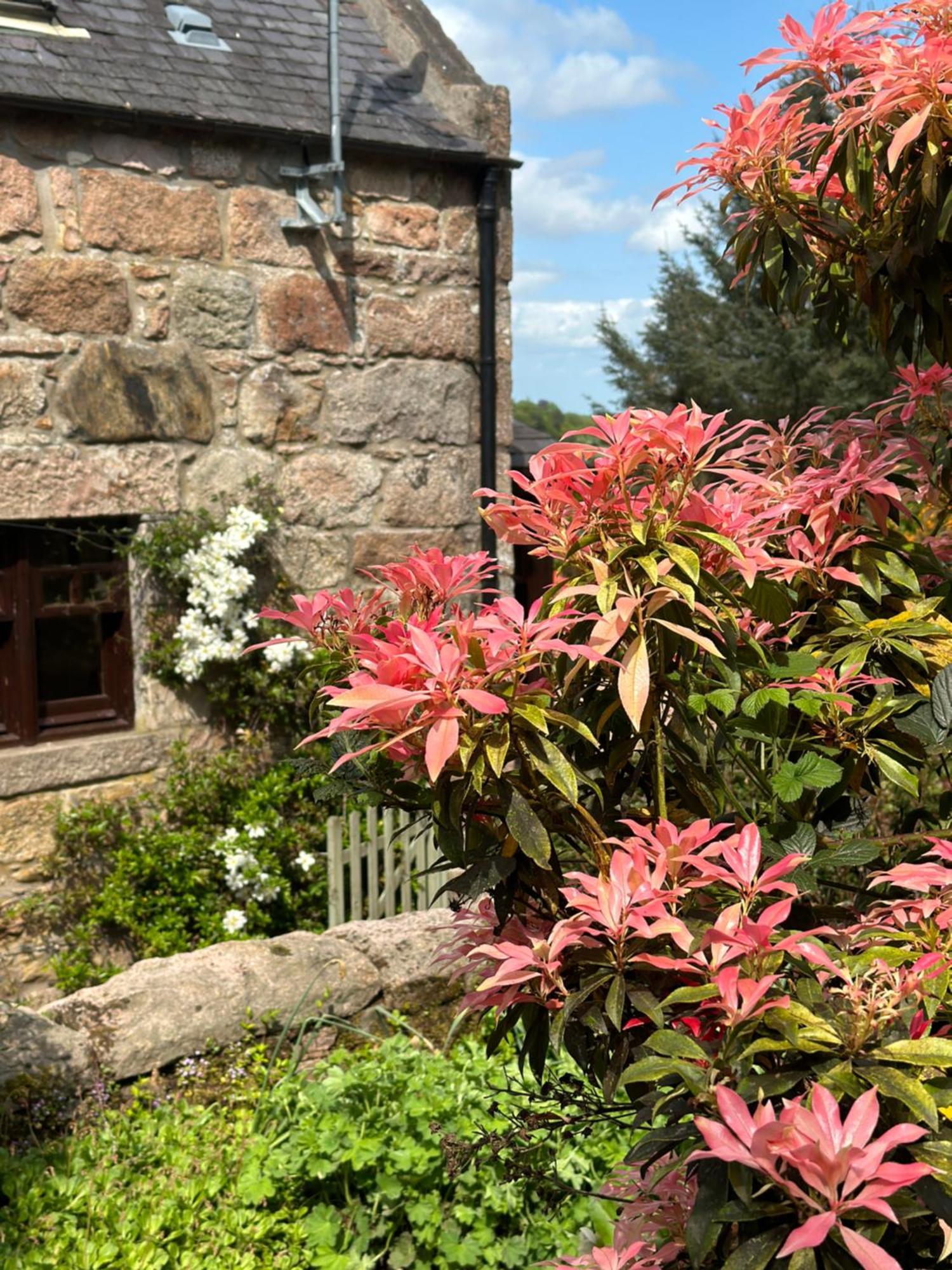 Awakening Alchemy Retreat Centre Bed & Breakfast Inverurie Eksteriør bilde