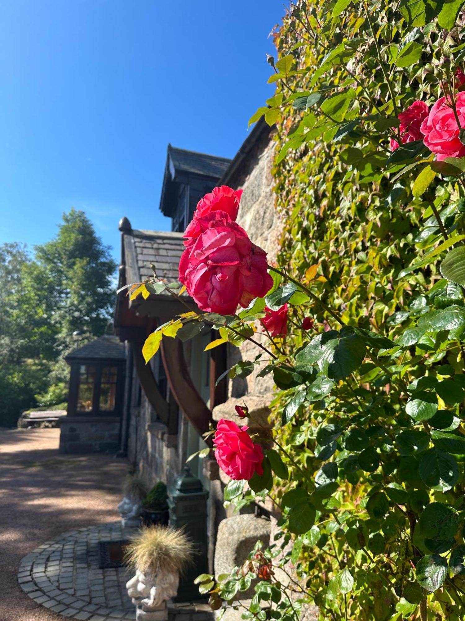 Awakening Alchemy Retreat Centre Bed & Breakfast Inverurie Eksteriør bilde