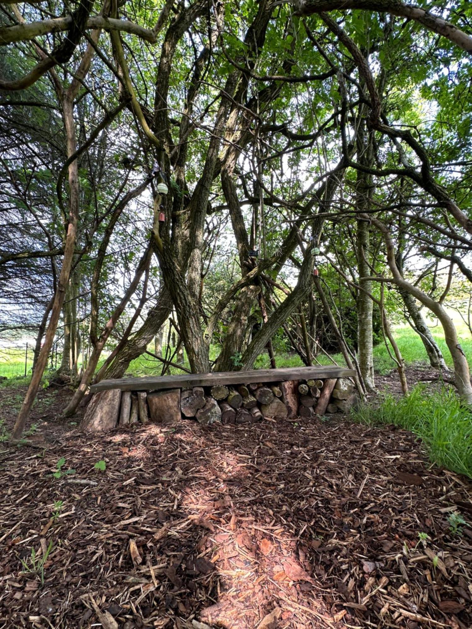 Awakening Alchemy Retreat Centre Bed & Breakfast Inverurie Eksteriør bilde