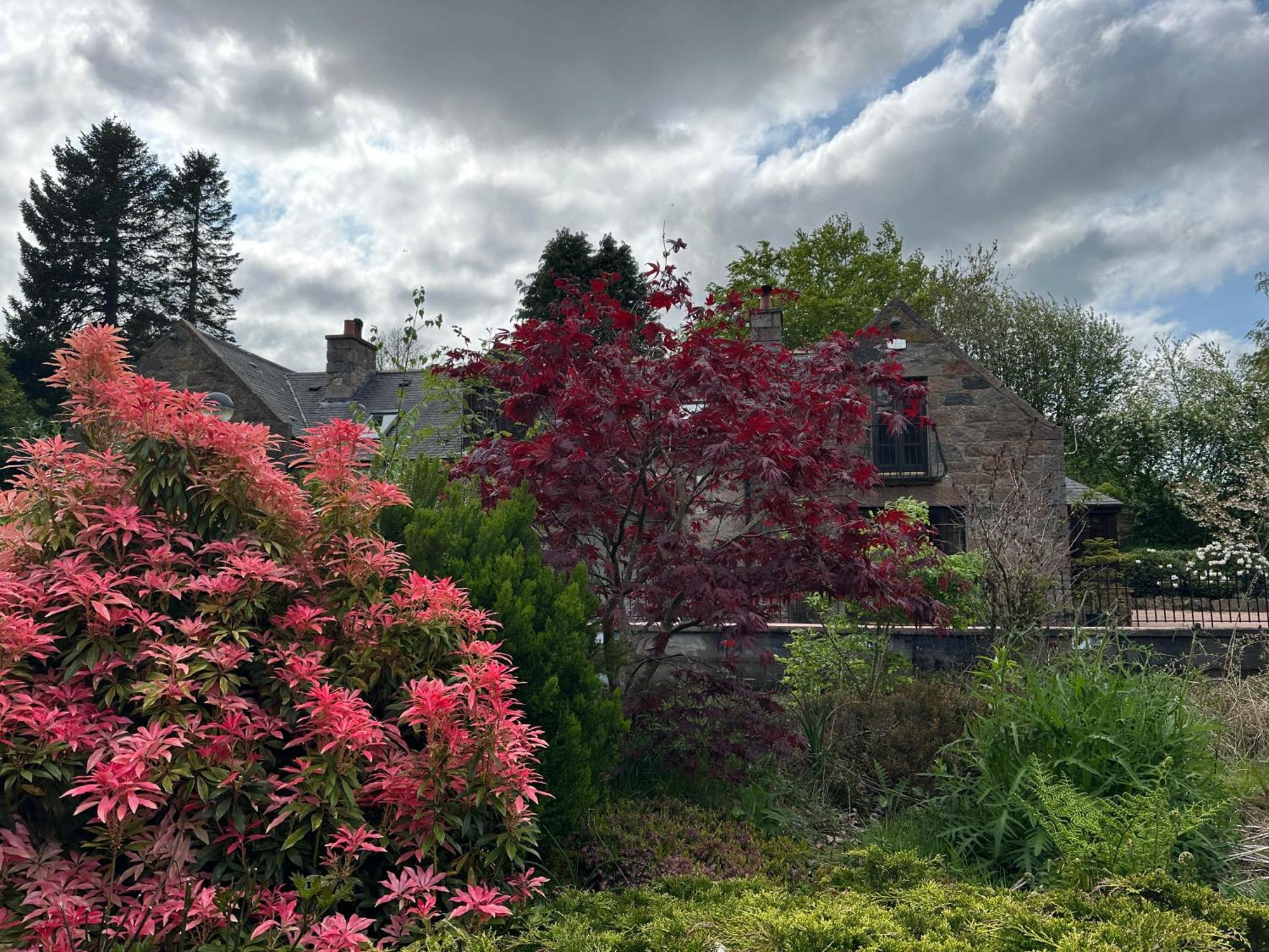Awakening Alchemy Retreat Centre Bed & Breakfast Inverurie Eksteriør bilde